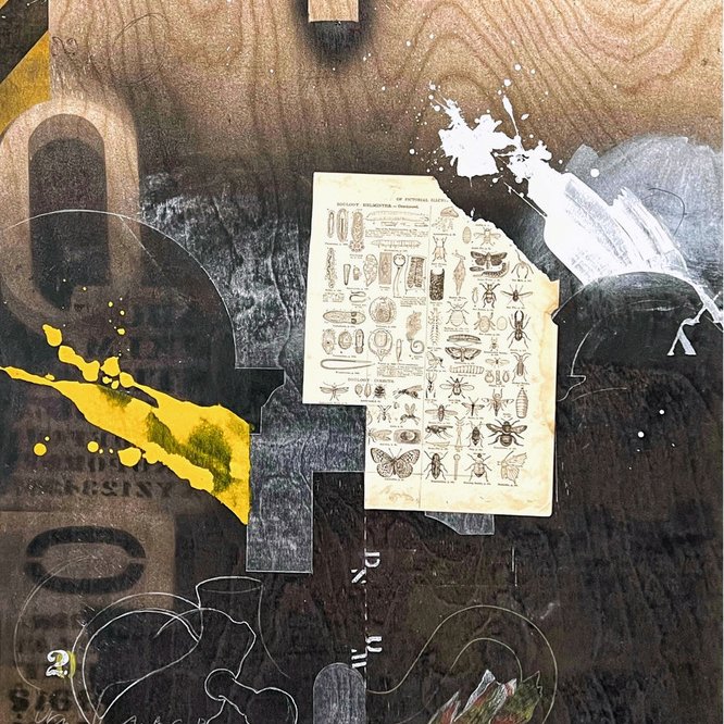 Fred Birchman, A Classified Selection