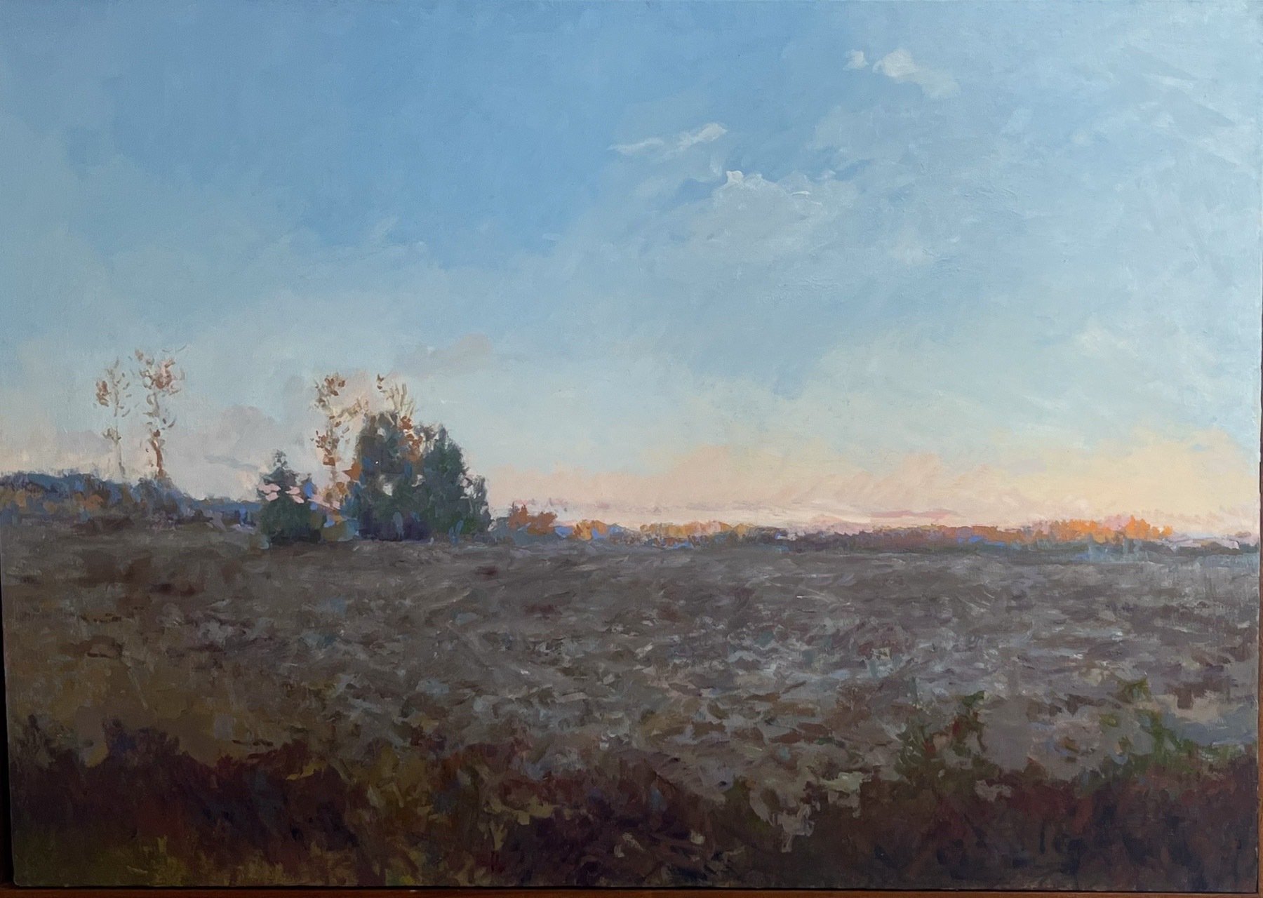 FIELD IN NOVEMBER, Peter Malarkey, oil on linen, 28 x 40 inches, copyright ©2024